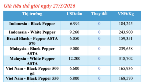 Giá tiêu hôm nay 27/3/2026: Duy trì ngưỡng 137.000 - 139.000 đồng/kg