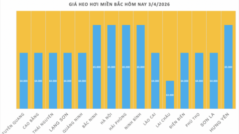 Giá heo hơi hôm nay 3/4/2026: Tiếp đà tăng giá ở miền Bắc, miền Trung