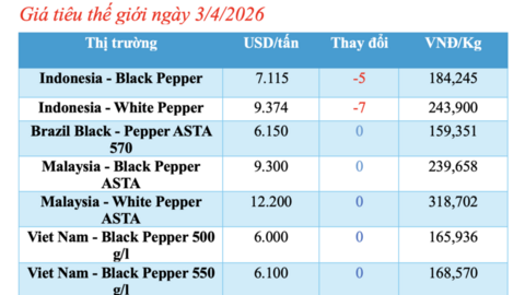 Giá tiêu hôm nay 3/4/2026: Tăng từ 500 - 1.000 đồng/kg