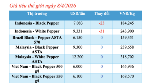 Giá tiêu hôm nay 8/4/2026: Tăng nhẹ 500 đồng/kg