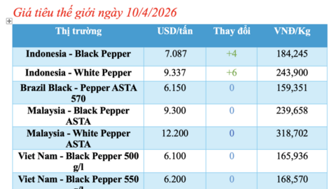 Giá tiêu hôm nay 10/4/2026: Cao nhất 139.000 đồng/kg