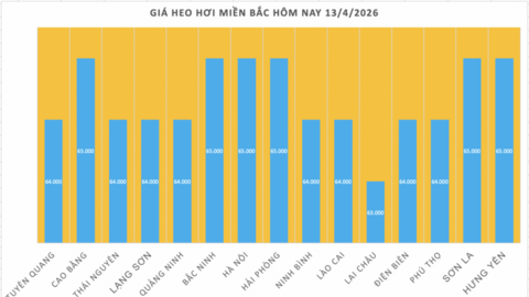 Giá heo hơi hôm nay 13/4/2026: Tạm chững phiên đầu tuần