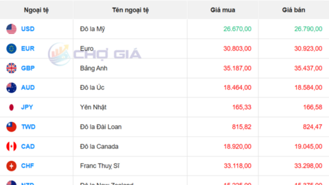 Tỷ giá USD hôm nay 14/4/2026: Tăng nhẹ