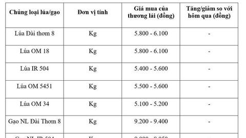 Giá lúa gạo hôm nay ngày 14/4: Gạo xuất khẩu tiếp đà tăng mạnh