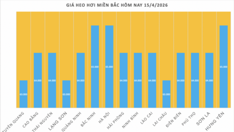 Giá heo hơi hôm nay 15/4/2026: Tăng rải rác trên cả 3 miền