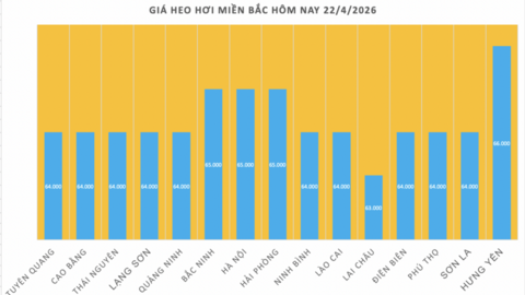 Giá heo hơi hôm nay 22/4/2026: Dao động từ 63.000 - 69.000 đồng/kg