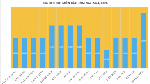 Giá heo hơi hôm nay 24/4/2026: Tăng vài nơi