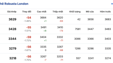 Giá cà phê hôm nay 28/4/2026: Đi ngang sau kỳ nghỉ lễ
