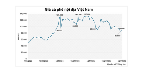 Giá cà phê tăng bật tăng mạnh, nguồn cung bị thắt chặt