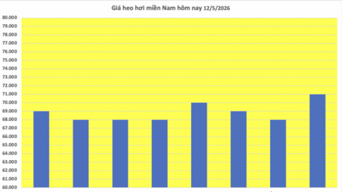 Giá heo hơi hôm nay 12/5/2026: Biến động trái chiều
