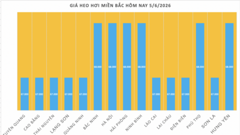 Giá heo hơi hôm nay 5/6/2026: Giảm đồng loạt tại miền Trung, miền Nam