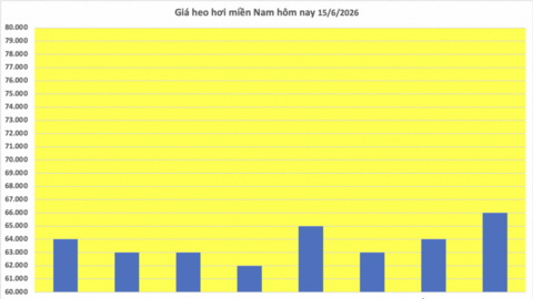 Giá heo hơi hôm nay 15/6/2026: Duy trì bình ổn