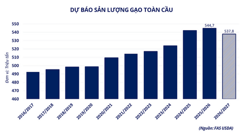 Thị trường gạo toàn cầu thay đổi, gạo Việt đang ở đâu?
