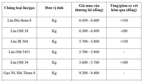 Giá lúa gạo hôm nay ngày 9/7/2026: Lúa tươi biến động trái chiều
