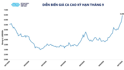 Giá ca cao thế giới tăng hơn 6%