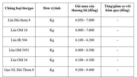 Giá lúa gạo hôm nay ngày 21/7/2026: Gạo xuất khẩu tăng mạnh