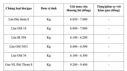 Giá lúa gạo hôm nay ngày 22/7/2026: Gạo xuất khẩu tiếp đà tăng