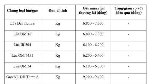 Giá lúa gạo hôm nay ngày 23/7: Gạo thơm Jasmine tăng 1.000 đồng/kg