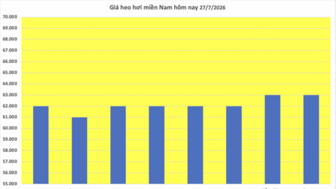 Giá heo hơi hôm nay 27/7/2026: Giảm 1.000 đồng/kg tại nhiều địa phương
