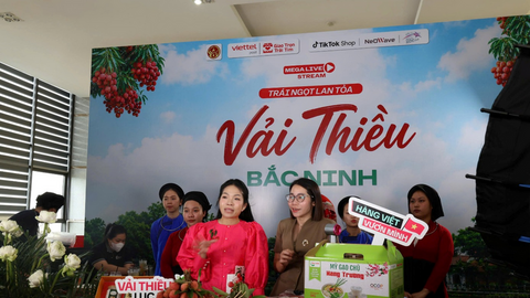 Từ OCOP 5 sao đến thương hiệu quốc gia: Hành trình của vải Hồng Xuân