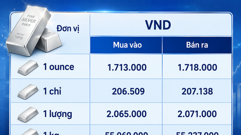 Giá bạc hôm nay 13/8/2026: Bứt phá hay quay đầu?