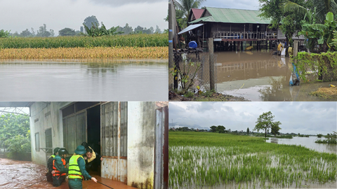 Gia Lai: Mưa lớn kéo dài, ruộng đồng, nhà dân chìm trong biển nước