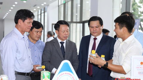 Quảng Ngãi tìm động lực mới để trở thành cực tăng trưởng miền Trung