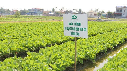 Agribank dừng rao bán khoản nợ của Công ty TNHH Phân bón Thành Tâm