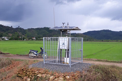 Đạ Tẻh: Đầu tư Trạm giám sát côn trùng thông minh trên cây lúa