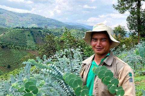 Cil Ha Phước làm giàu từ cây đô-la