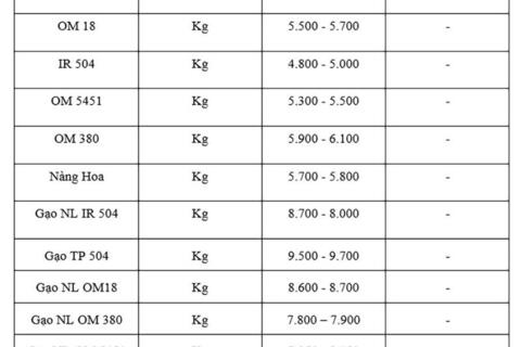 Giá lúa gạo hôm nay ngày 28/10: Gạo xuất khẩu tăng giảm trái chiều