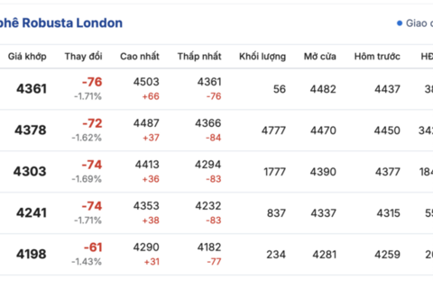 Giá cà phê hôm nay 29/10/2025: Đồng loạt sụt giảm