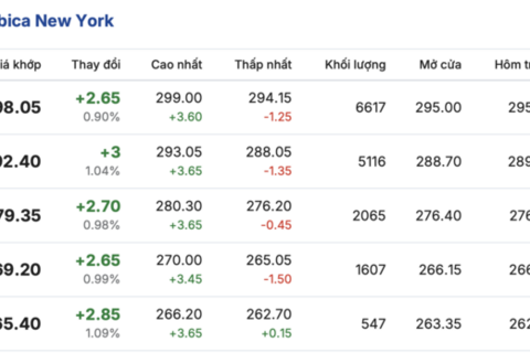 Giá cà phê hôm nay 7/4/2026: Giữ đà bình ổn