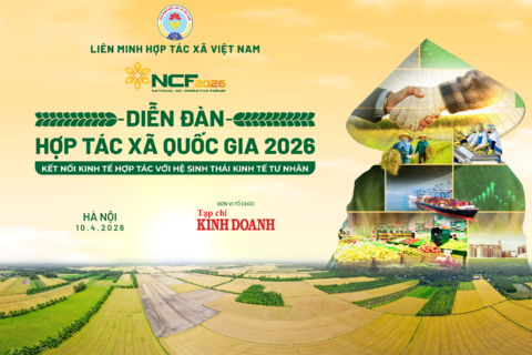 Từ chính sách đến thị trường – thúc đẩy hợp tác xã trở thành đối tác chiến lược