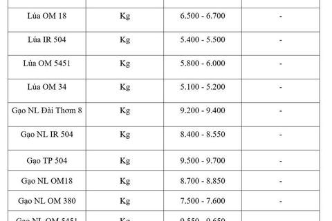 Giá lúa gạo hôm nay ngày 22/5/2026: Gạo xuất khẩu  tăng