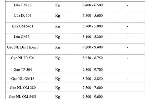 Giá lúa gạo hôm nay ngày 5/6/2026: Gạo xuất khẩu tăng