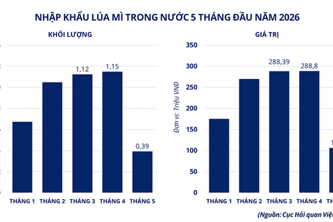 Lo ngại nguồn cung toàn cầu, giá lúa mì bật tăng mạnh