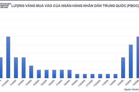Giá kim loại quý đồng loạt giảm mạnh