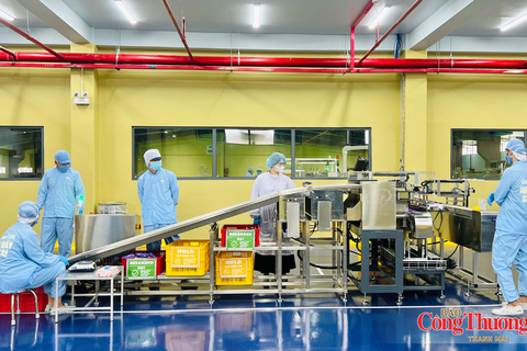 Gia Lai: Xuất khẩu vượt 2,35 tỷ USD, công nghiệp, thương mại đều tăng