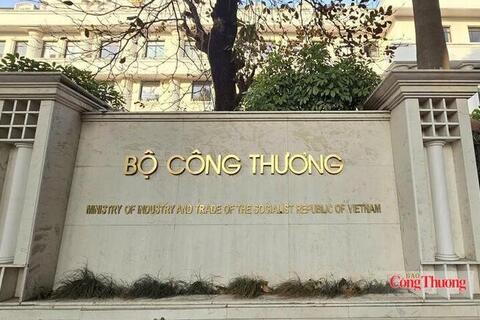 Chức năng, nhiệm vụ, quyền hạn và cơ cấu tổ chức của Cục Xuất nhập khẩu