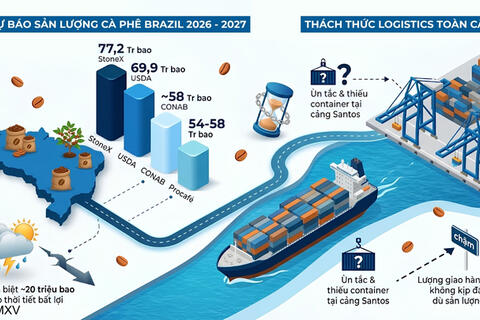 Khoảng lặng trước bước chuyển mình lịch sử của ngành cà phê toàn cầu