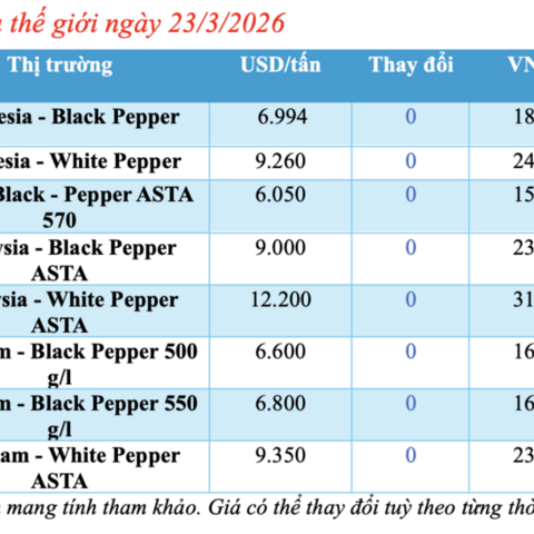 Giá tiêu hôm nay 23/3/2026: Cao nhất 136.000 đồng/kg