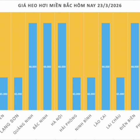 Giá heo hơi hôm nay 23/3/2026: Biến động trái chiều