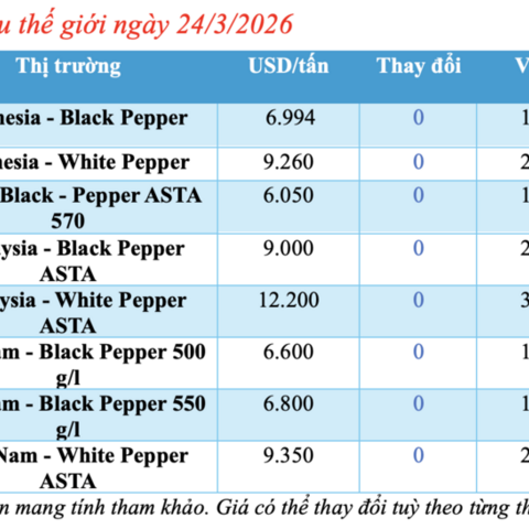 Giá tiêu hôm nay 24/3/2026: Giữ đà ổn định, cao nhất 136.000 đồng/kg