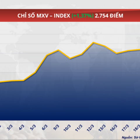Giá cà phê Arabica vượt 7.000 USD/tấn, áp lực nguồn cung chưa hạ nhiệt