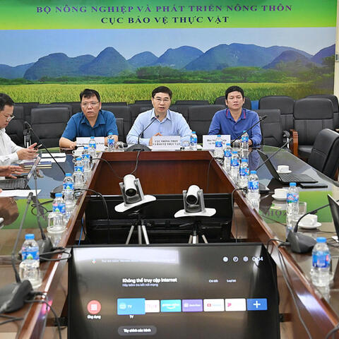 Nông sản Việt trước sức ép mới từ thị trường EU