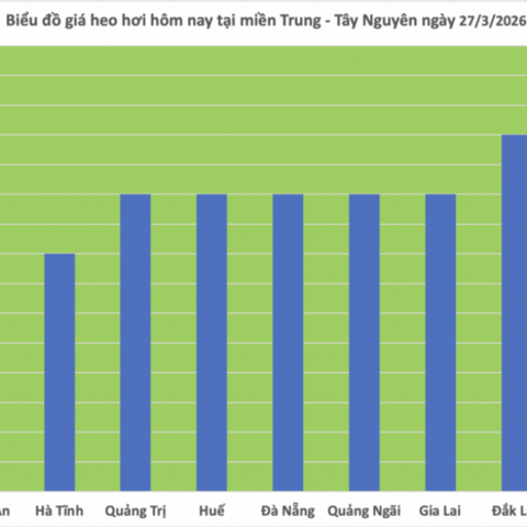 Giá heo hơi hôm nay 27/3/2026: Giảm tại miền Bắc