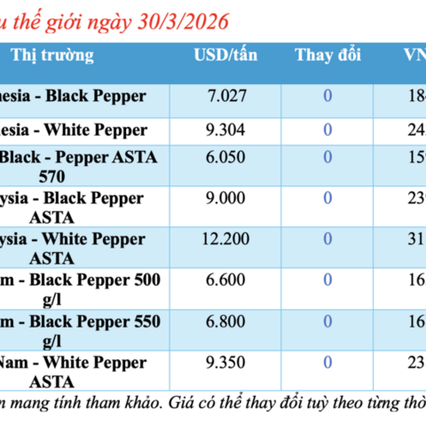 Giá tiêu hôm nay 30/3/2026: Cao nhất đạt 140.500 đồng/kg