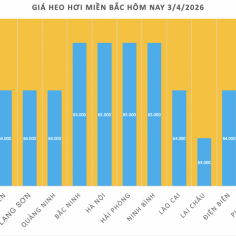 Giá heo hơi hôm nay 3/4/2026: Tiếp đà tăng giá ở miền Bắc, miền Trung