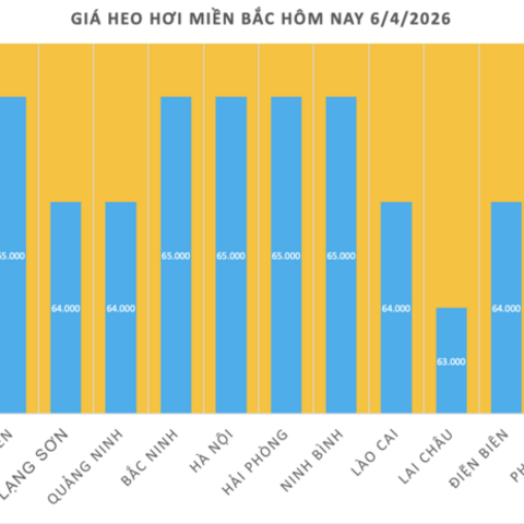 Giá heo hơi hôm nay 6/4/2026: Tăng nhẹ tại miền Bắc, miền Trung